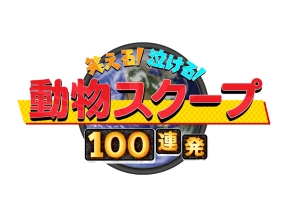 笑える！泣ける！動物スクープ100連発