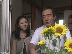 タクシードライバーの推理日誌　黒いひまわりの女