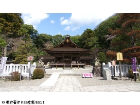 京都浪漫　悠久の物語【トロッコ列車でもうひとつの京都へ 〜新緑の亀岡を歩く…