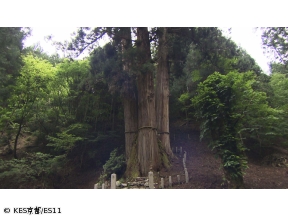 京都浪漫　悠久の物語【京の山里探訪〜花脊・峰定寺〜】