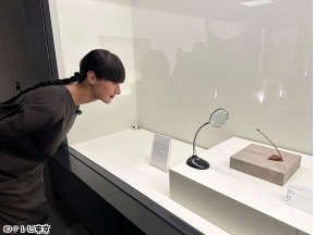 新美の巨人たち【超絶技巧の美しき蝶!福田亨【立体木象嵌】×シシド・カフカ】