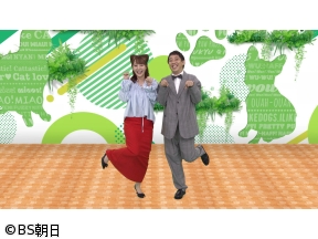ネコいぬワイドショー　傑作選SP