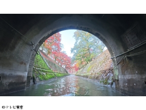 新美の巨人たち【いま最も旬な国宝！琵琶湖疏水を巡る京都紅葉の旅】