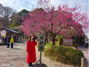 新美の巨人たち【「水戸・偕楽園」×山崎怜奈　シリーズ日本三名園(2)】