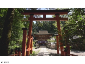 ごりやくさん　第44回「丹生都比売神社」(和歌山)