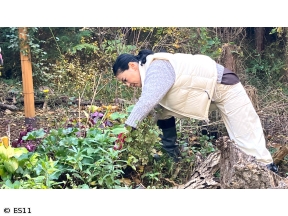 黒谷友香、お庭つくります　アンコール　皇室ゆかりの離宮に学ぶ&プロ直伝チェック法