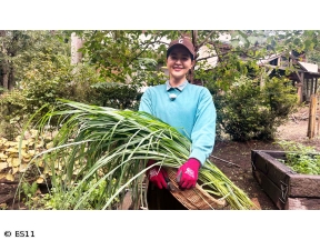 黒谷友香、お庭つくります　意外とかわいい食虫植物の寄せ植え&ハーブガーデン収穫!