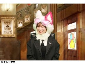 日曜アワー「亀梨くんのワンにゃフル!」▽愛知県で発見!モフモフが5匹!(他)