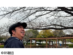 ウォーキングのひむ太郎　「荒川区町屋〜三ノ輪編」