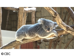 生放送！デララバ!GW行きたい場所ランキング2時間SP