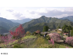 ごりやくさん　第29回「熊野三山」(和歌山)