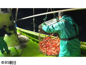 魚が食べたい!　「新潟県・長時間のベニズワイガニ漁へ!ぽたぽた感とは!?」