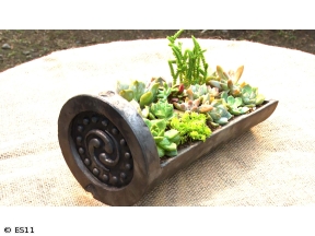 黒谷友香、お庭つくります　アンコール　グラスガーデンに挑戦!