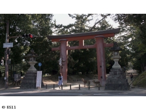 ごりやくさん　第46回「春日大社」(奈良)