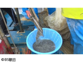 魚が食べたい!　「魚の町・萩でフグの女王様や新鮮シラスに舌鼓」