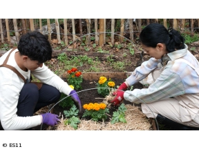 黒谷友香、お庭つくります　アンコール　そらベジさんと「2026注目野菜」を育てよう!