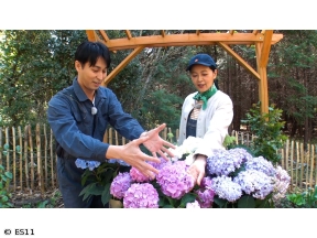 黒谷友香、お庭つくります　三上真史が誘う「彩りのアジサイ庭」!育て方テク満載
