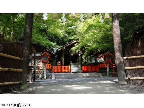 京都浪漫　悠久の物語【夏の奥嵯峨〜幽玄の世界〜】