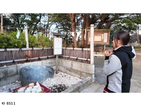 MOTORISE　“1万円の旅