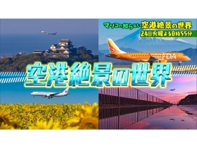 マツコの知らない世界春らんまんSP!桜と楽しむ最新和菓子36連発▼SNSバズる!空港絶景