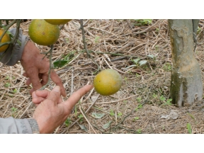 ガイアの夜明け【野生と共に生きる！〜駆除に頼らない観光地〜】