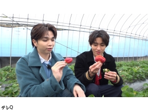 ちょっと福岡行ってきました!『大人気M!LK登場!!塩崎太智&曽野舜太の爆笑旅』