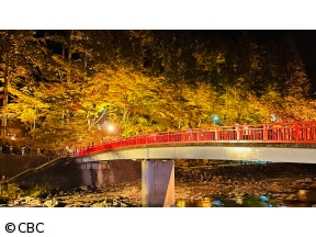 太田×石井のデララバ【東海３県 紅葉の名所ランキング】