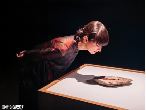 新美の巨人たち【超絶技巧の美しき蝶!福田亨【立体木象嵌】×シシド・カフカ】