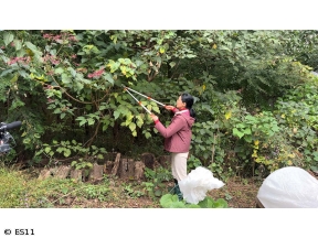 黒谷友香、お庭つくります　アンコール　ベストビューポイントに休憩所