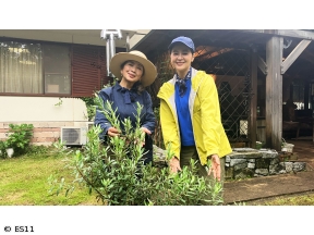 黒谷友香、お庭つくります　オリーブ植樹で南仏風!と素敵なテーブルセッティング