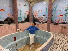 新美の巨人たち【シリーズあなたの町の名建築７「本郷・鳳明館」×菊川怜】