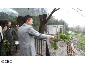 生放送！デララバ!GW行きたい場所ランキング2時間SP