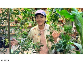 黒谷友香、お庭つくります　今年暑さに強い宿根草はコレ!吉田さんとGGG巡り!