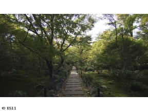 京都浪漫　悠久の物語「師走の嵯峨嵐山を歩く〜宝筐院・福田美術館・鹿王院〜」