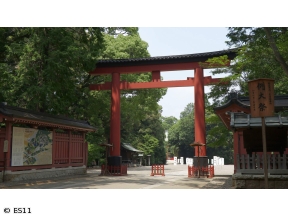 ごりやくさん　第3回「氷川神社」(埼玉)