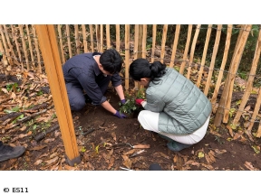 黒谷友香、お庭つくります　アンコール　外周柵を素敵にアレンジしよう!