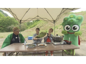 どすコイ　やまがた【小国場所】TV初公開!幻どらやき製造現場▽極上の天然わらび