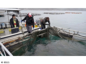 冬の京都2026「財前直見が行く食と歴史の都」伊根の舟屋・ぶりしゃぶ・スッポン鍋