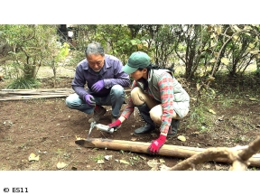 黒谷友香、お庭つくります　理想のくつろぎ空間へ キウイ棚づくり&一人で作る小庭