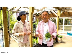 黒谷友香、お庭つくります　アンコール　今年暑さに強い宿根草はコレ!