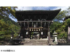 京都浪漫　悠久の物語【あじさい花ごよみ〜洛西から伏見・宇治へ〜】