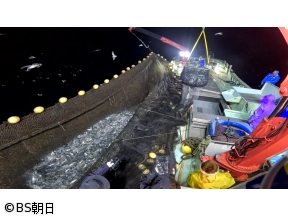 魚が食べたい!　「東北のブランドサバと宝の湖でとれるワカサギとシラウオ!」