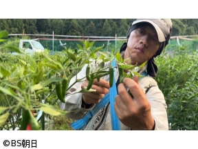 しあわせ2倍!二拠点生活2時間スペシャル