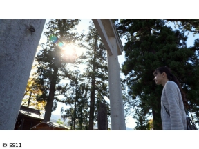 ごりやくさん　第16回「飛騨一宮水無神社」(岐阜)