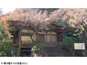 京都浪漫　悠久の物語「世界遺産　醍醐寺〜千年の歴史を見つめる〜」