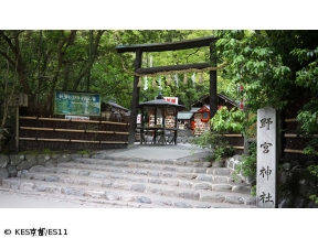 京都浪漫　悠久の物語【夏の奥嵯峨〜幽玄の世界〜】
