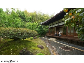 京都浪漫　悠久の物語【直木賞作家と歩く京都〜東林院・平安神宮・白峯神宮〜】