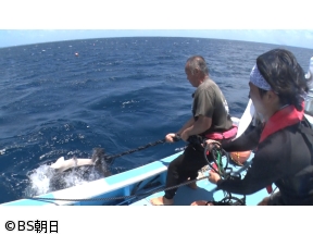 魚が食べたい!　巨大魚2時間スペシャル 番組最大!400キロの怪物に挑む!