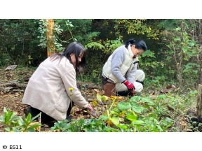 黒谷友香、お庭つくります　渡部さんと一緒に『球根』を植えよう!&あわじ花さじき