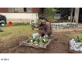 黒谷友香、お庭つくります　アジュガで防ぐお庭の土壌流出&2026年注目の新花